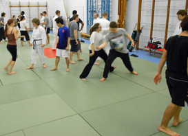 Aikido at Reading University