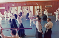 Weapons training at the Aikido
                                Summer School in Treforest