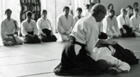 Andy Allan Sensei
                              teaching an Aikido pinning technique
