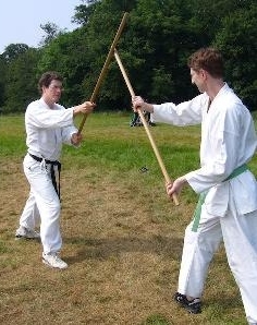 Aikido jo practice
                                          outside