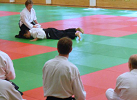 Aikido seminar pic
                                                02